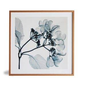 Quadro Floral Inverter Flowers “B” para Sala Quarto Hotéis Escritório, 50x50cm C/ Vidro 3mm e Moldura Reta na cor Mel