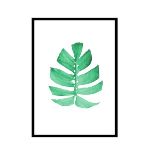 Conjunto de Quadros Botânicos  “ABC 1” para Sala Quarto Hall Escritório, 35x50cm C/ Vidro 3mm e Moldura na cor Preta