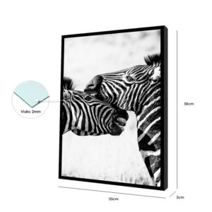 Quadro Animal Zebras “A & B” para Sala Quarto Hall Escritório, 35x50cm C/ Vidro 3mm e Moldura na cor Preta