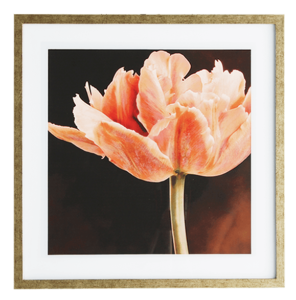 Capa Quadro Super Luxo 1