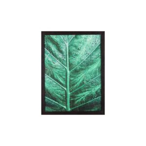 Par de Quadros Folhas Verdes com Gotas de Água para Sala Quarto Hotéis Escritório, 43x33cm C/ Vidro 3mm e Moldura em Madeira na cor Castanho