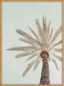 8.fw