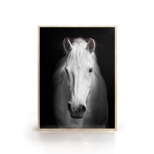 Quadro Cavalo Branco para Sala, Quarto, Hotéis, Escritório, 110x80cm C/ Vidro 3mm e Moldura na Cor Amadeirada.