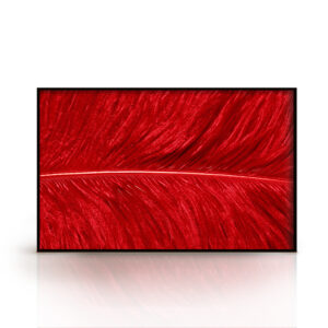 Quadro Pena  Vermelha para Sala, Quarto, Hotéis, Escritório, 140x110cm C/ Vidro 3mm e Moldura cor Preto.