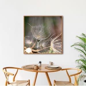 Belo quadro “Dente de Leão”, para Sala de jantar, C/ Vidro 3mm e Moldura na cor mel